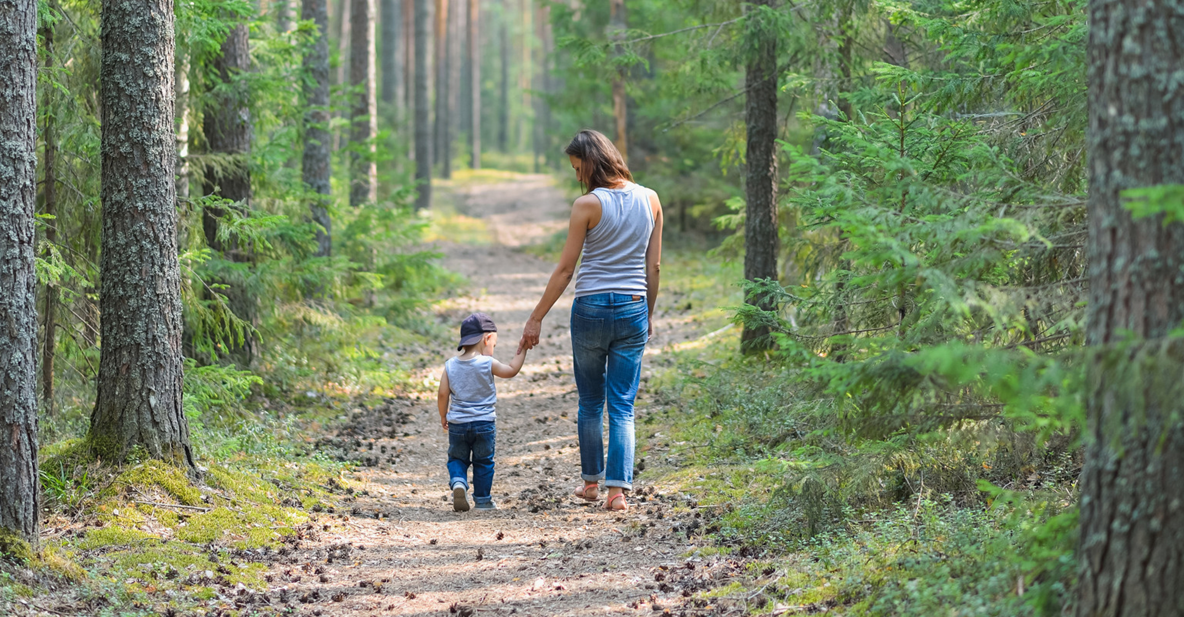 Prismodell skog fjärrvärme