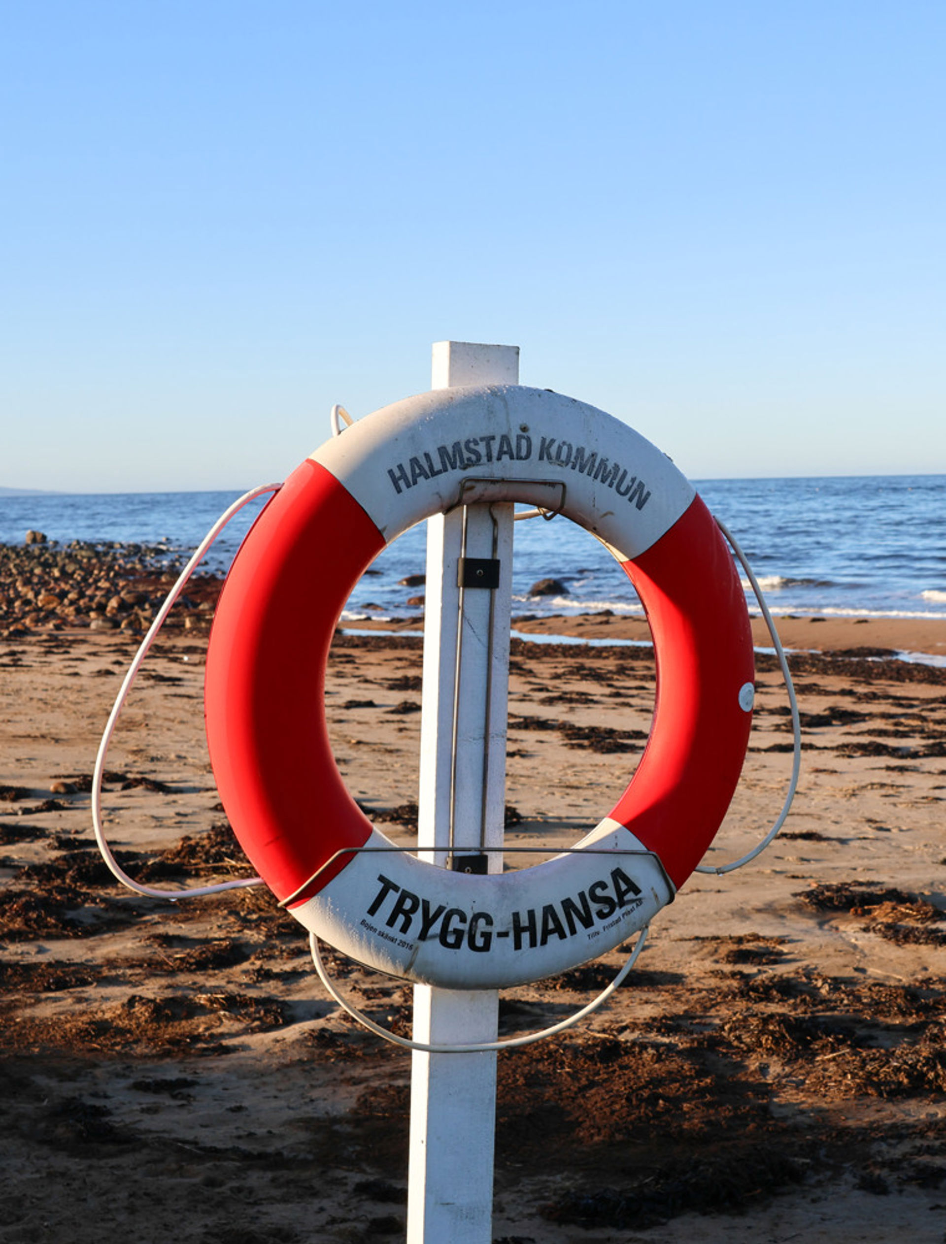 HEM och CleanSea jobbar tillsammans för en säker och ren miljö på Halmstads stränder