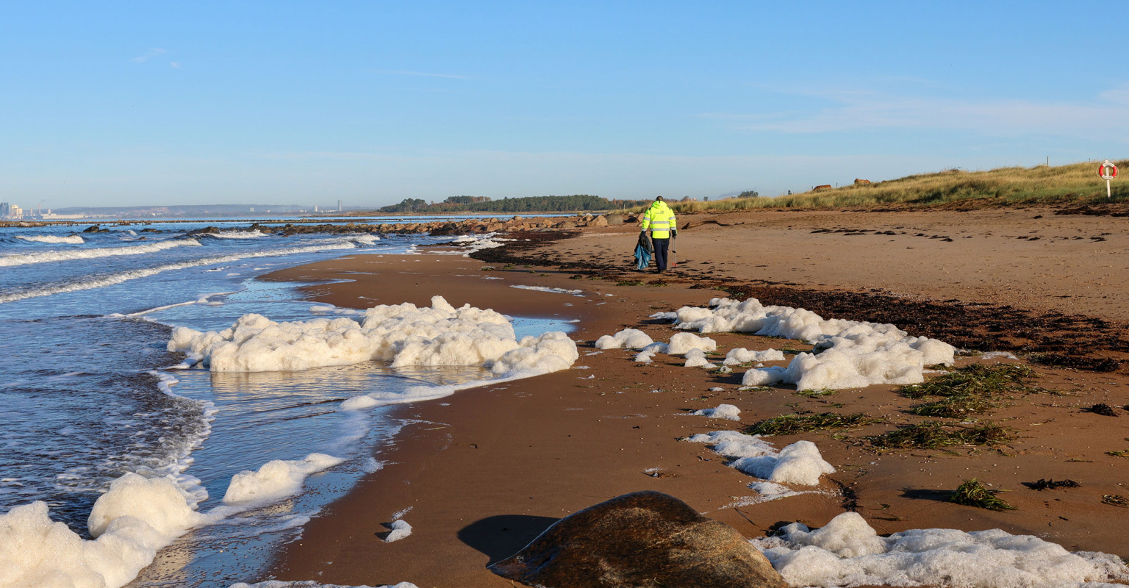 Carl Lagerblad från HEM hjälper till att städa stranden i Påarp.
