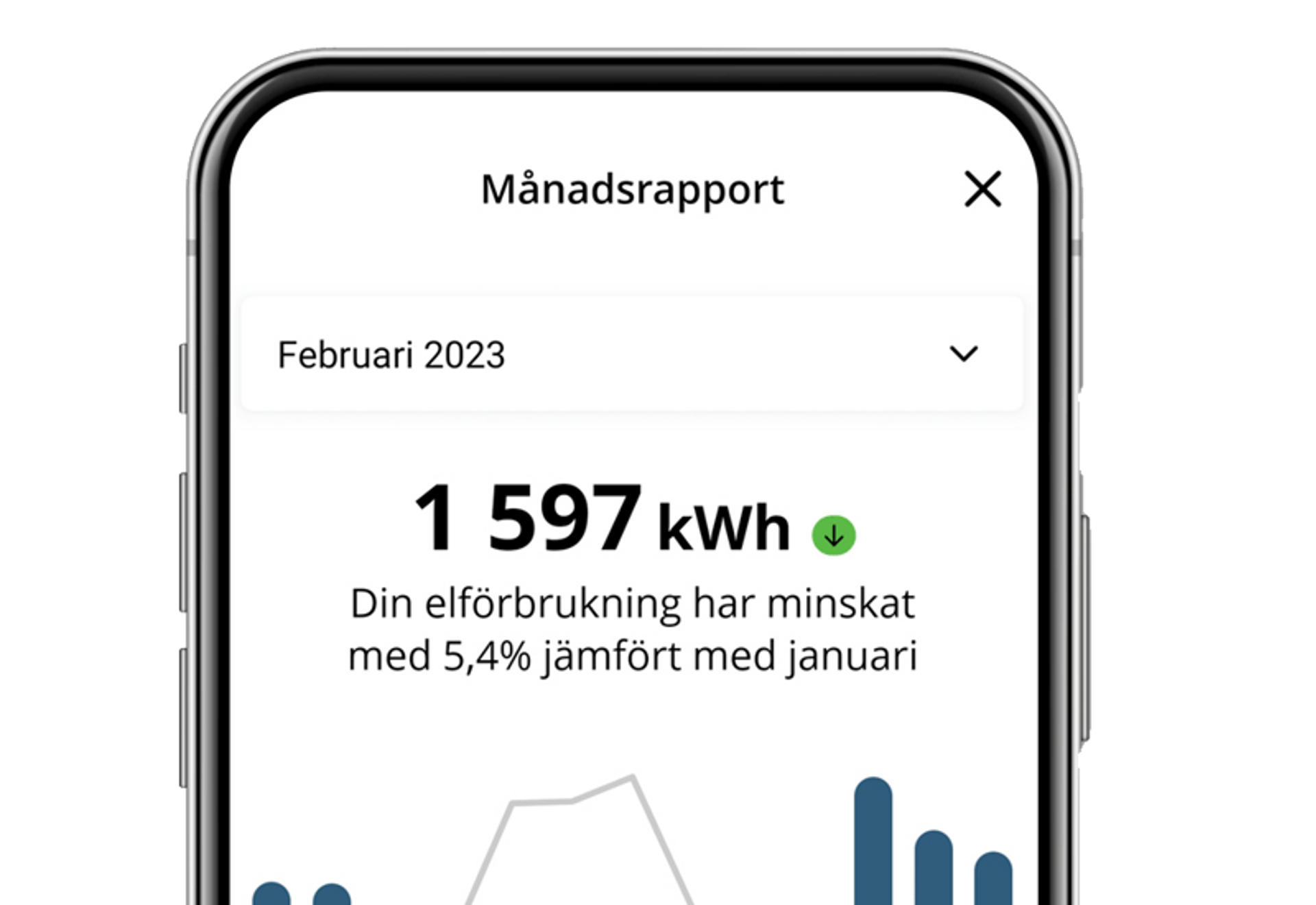 Månadsrapport