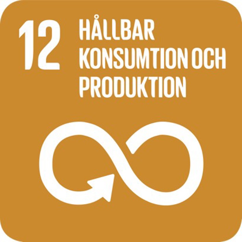 Prioriterade globala mål 12 - hållbar konsumtion och produktion